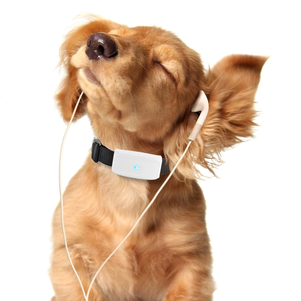 2G GSM GPS Tracker Pet TK911 GPS Locator TKSTAR Mini GPS Pets Tracker 2G GSM Best Dog GPS Tracker With Free APP Waterproof IP67 2G GSM GPS Tracker Pet TK911 GPS Locator TKSTAR Mini GPS Pets Tracker 2G GSM Best Dog GPS Tracker With Free APP Waterproof IP67
