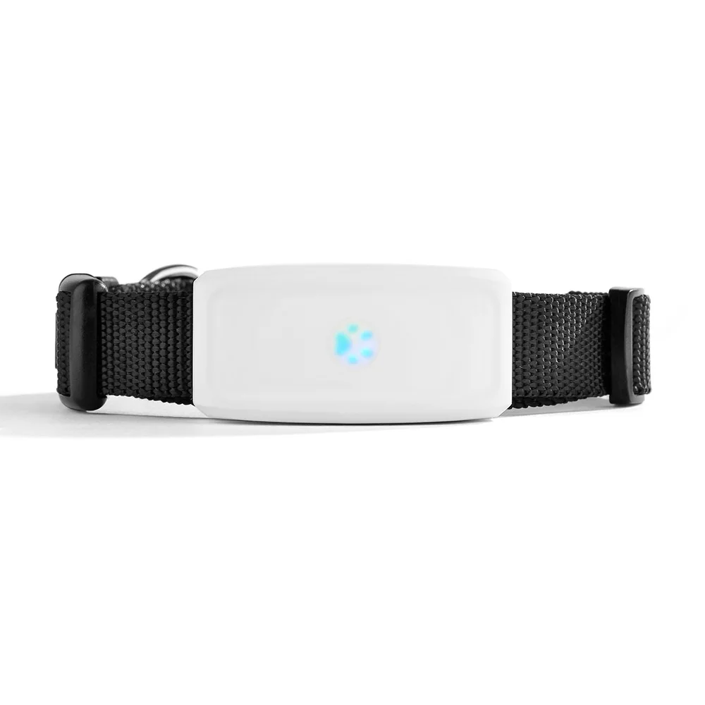 2G GSM GPS Tracker Pet TK911 GPS Locator TKSTAR Mini GPS Pets Tracker 2G GSM Best Dog GPS Tracker With Free APP Waterproof IP67 2G GSM GPS Tracker Pet TK911 GPS Locator TKSTAR Mini GPS Pets Tracker 2G GSM Best Dog GPS Tracker With Free APP Waterproof IP67