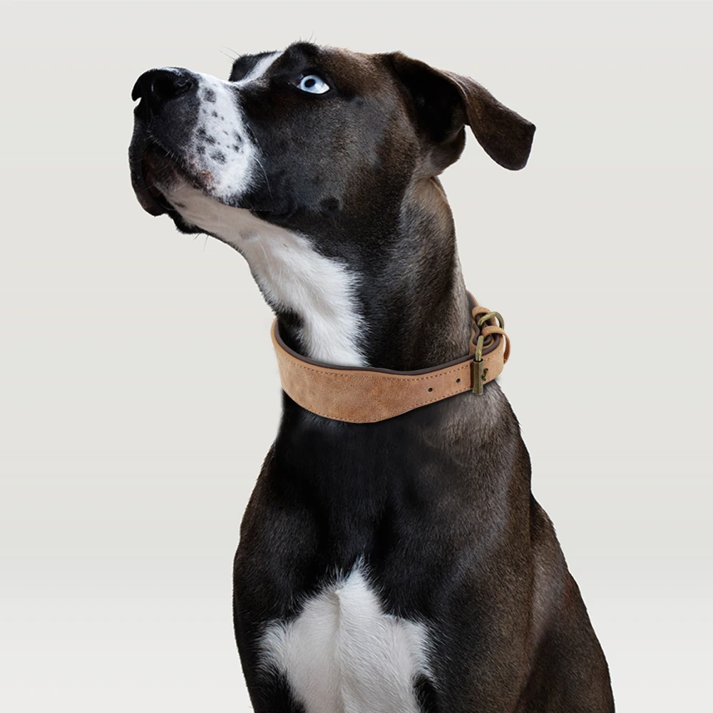 Wide Leather Dog Collar Padded Pet Collars Dog Collar for Medium Large Dogs Pitbull Bulldog German Shepherd 2XL