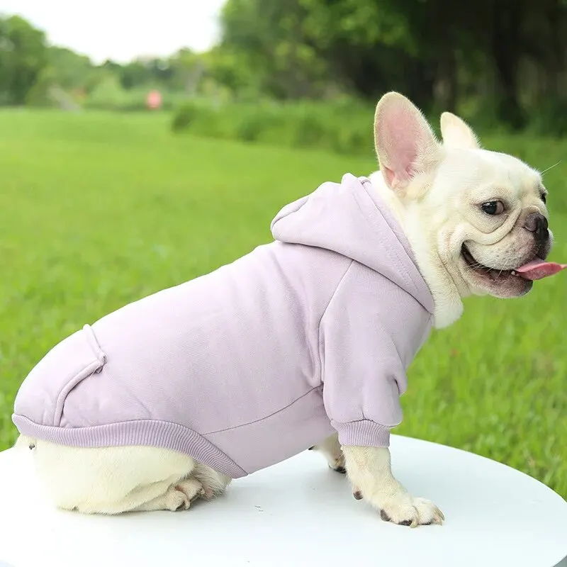 Fashion Dog Clothing Autumn And Winter Small Pet Clothes Thickening Warm Solid Color Two-Feet Hooded Wweater Casual Pet Products Fashion Dog Clothing Autumn And Winter Small Pet Clothes Thickening Warm Solid Color Two-Feet Hooded Wweater Casual Pet Products