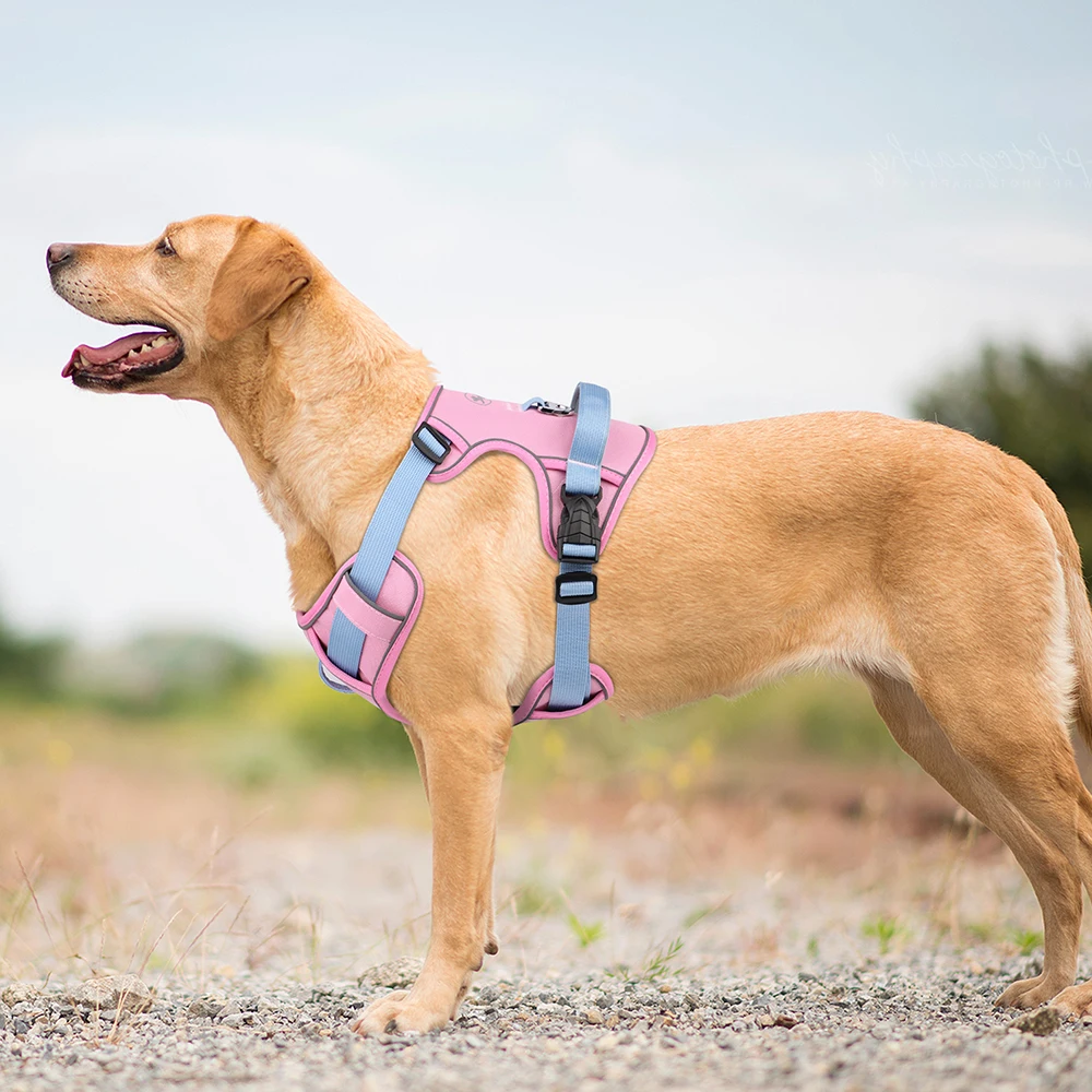 Mesh Breathable Dog Harness Nylon Reflective Dog Harnesses Vest Durable Pet Training Vest Adjustable for Small Medium Large Dogs Mesh Breathable Dog Harness Nylon Reflective Dog Harnesses Vest Durable Pet Training Vest Adjustable for Small Medium Large Dogs