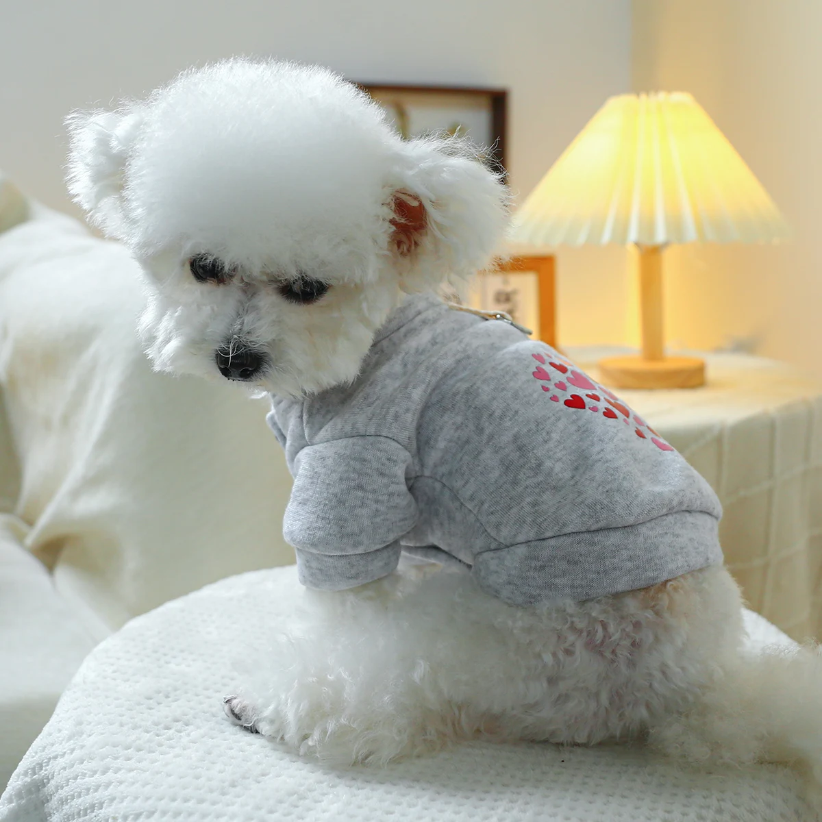 1PC Pet Clothing Dog Cat Valentine's Day Red Love Coat with Drawstring Buckle, Suitable for Small and Medium sized Dogs 1PC Pet Clothing Dog Cat Valentine's Day Red Love Coat with Drawstring Buckle, Suitable for Small and Medium sized Dogs