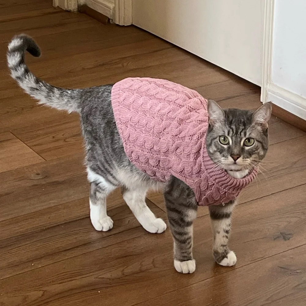 Warm Knitted Sphynx Cat Sweater Winter Pet Clothes for Cats mascotas Clothing Katten Kedi Kitten Puppy Pullovers ropa para gatos Warm Knitted Sphynx Cat Sweater Winter Pet Clothes for Cats mascotas Clothing Katten Kedi Kitten Puppy Pullovers ropa para gatos