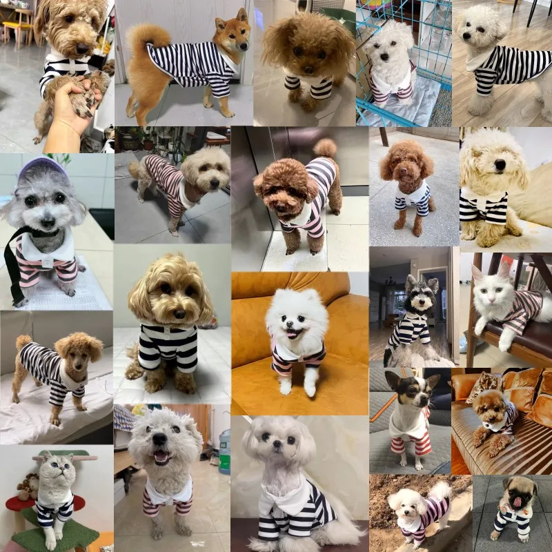 Fashion Pet Dog Striped Shirt Summer Puppy Clothes Cute Cat Vest Breathable Dog Thin Shirt Pet Kitten Clothing Chihuahua Clothes Fashion Pet Dog Striped Shirt Summer Puppy Clothes Cute Cat Vest Breathable Dog Thin Shirt Pet Kitten Clothing Chihuahua Clothes