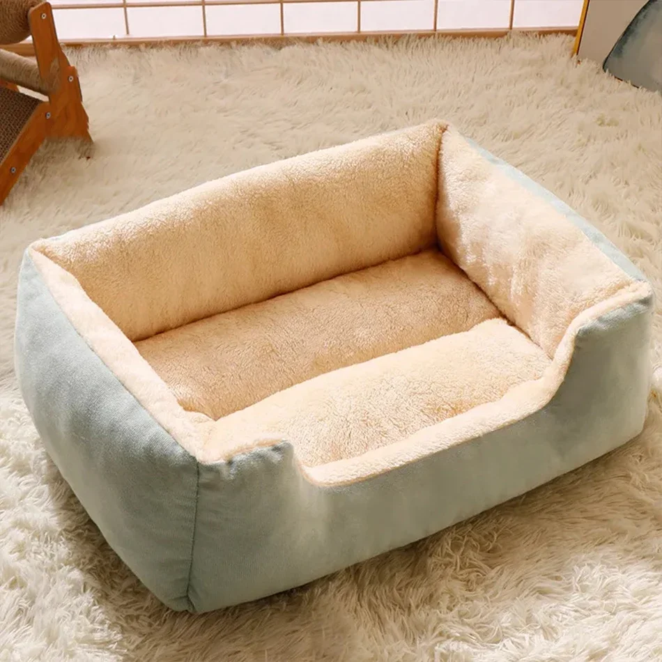 Bed for Cats Pet Products Cushions Kitten Goods Accessories Dog All Houses Supplies Things Accessory Habitats Basket House Beds Bed for Cats Pet Products Cushions Kitten Goods Accessories Dog All Houses Supplies Things Accessory Habitats Basket House Beds