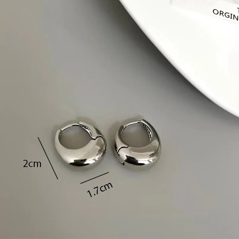 Stainless Steel Smooth Metal Chunky Hoop Earrings For Women Girls Fashion Round Circle Hoops Statement Earrings Punk Jewelry Stainless Steel Smooth Metal Chunky Hoop Earrings For Women Girls Fashion Round Circle Hoops Statement Earrings Punk Jewelry