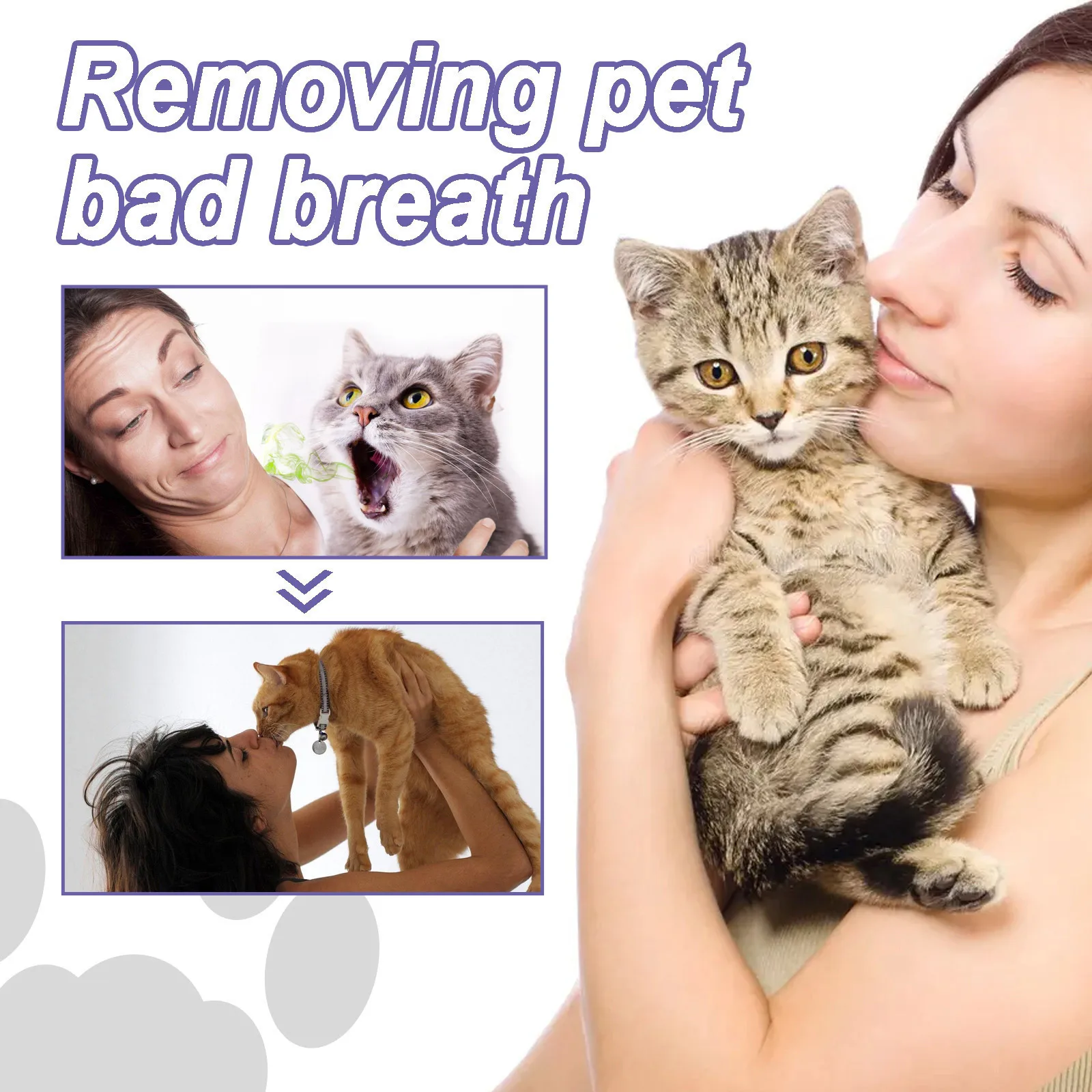 3ml Pet Oral Gel Cleaning Dog Cat Teeth, Bad Breath, For Tartar, No Need To Brush Teeth, Pet Breath Freshener Gel Care Cleaner 3ml Pet Oral Gel Cleaning Dog Cat Teeth, Bad Breath, For Tartar, No Need To Brush Teeth, Pet Breath Freshener Gel Care Cleaner