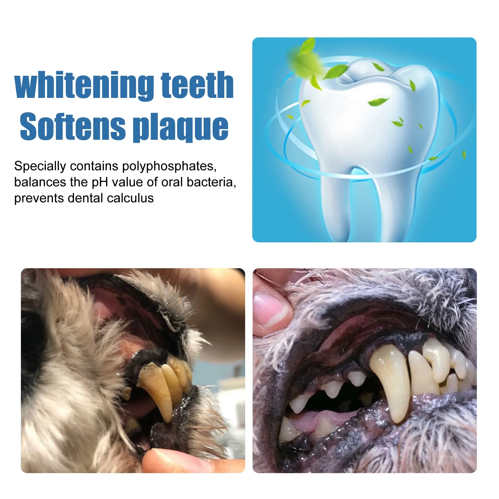 60ml Pet Tartar Remover Natural Plaques Off Tartar Remover For Dogs Cats Freshen Breath Foam For Dogs Cats Support Healthy Gums 60ml Pet Tartar Remover Natural Plaques Off Tartar Remover For Dogs Cats Freshen Breath Foam For Dogs Cats Support Healthy Gums