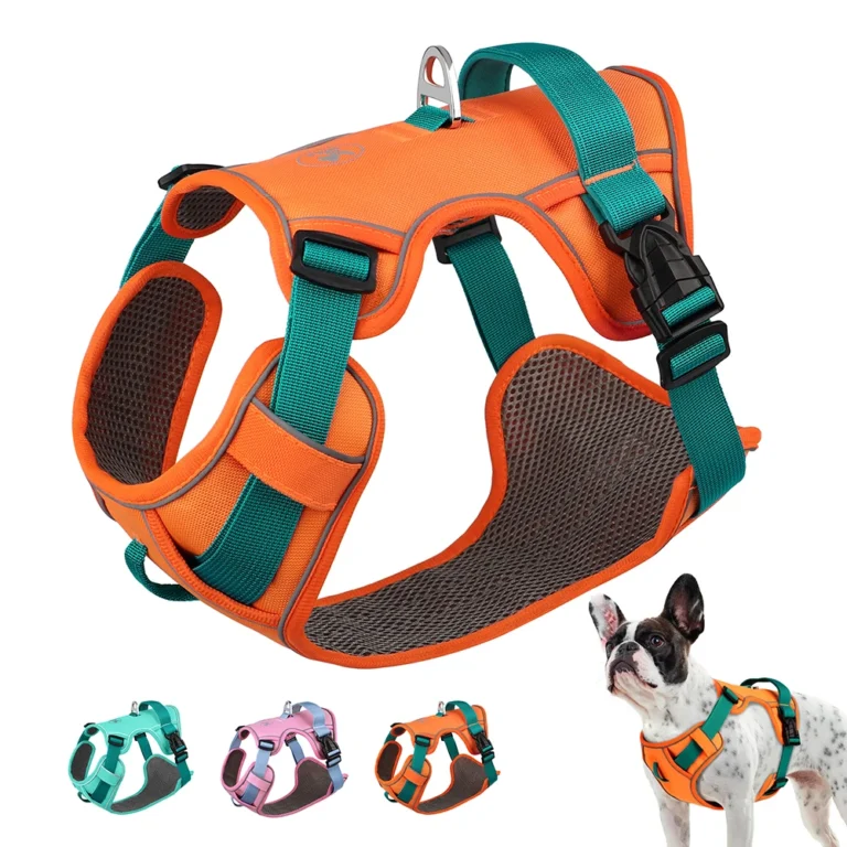 New Pet Teeth Grinding Toy Dog Interactive Bone Training Toy Bamboo Cleaning Teeth Fixing Wear Resistant Pet Products