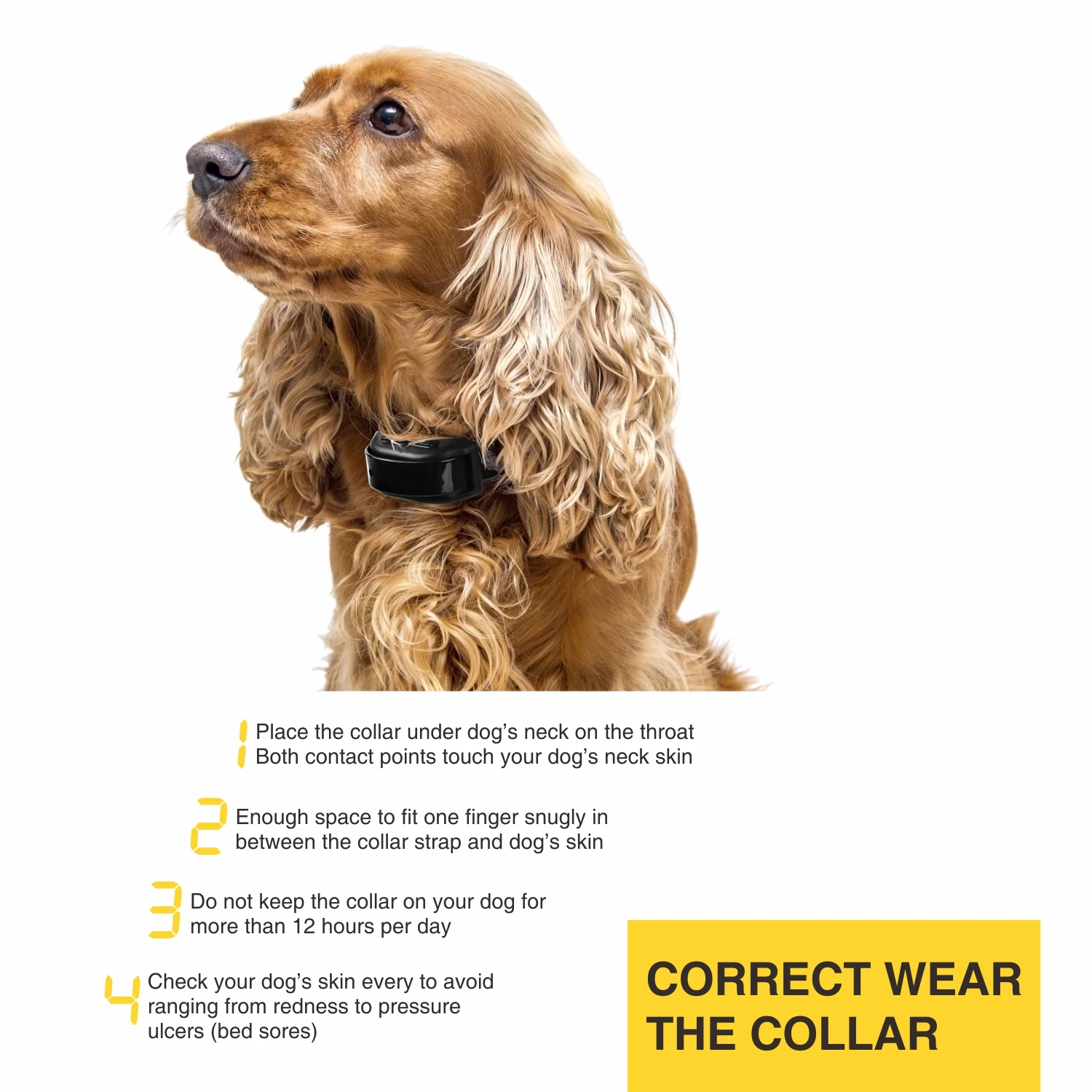 Dog Training Bark Collar 2 in 1 No Bark Control Collar 800M Rechargeable Dog Electric Collar Remote Waterproof Dog Pet Product Dog Training Bark Collar 2 in 1 No Bark Control Collar 800M Rechargeable Dog Electric Collar Remote Waterproof Dog Pet Product