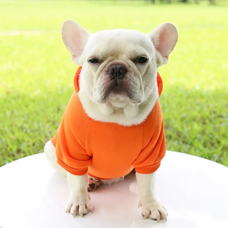 Fashion Dog Clothing Autumn And Winter Small Pet Clothes Thickening Warm Solid Color Two-Feet Hooded Wweater Casual Pet Products Fashion Dog Clothing Autumn And Winter Small Pet Clothes Thickening Warm Solid Color Two-Feet Hooded Wweater Casual Pet Products