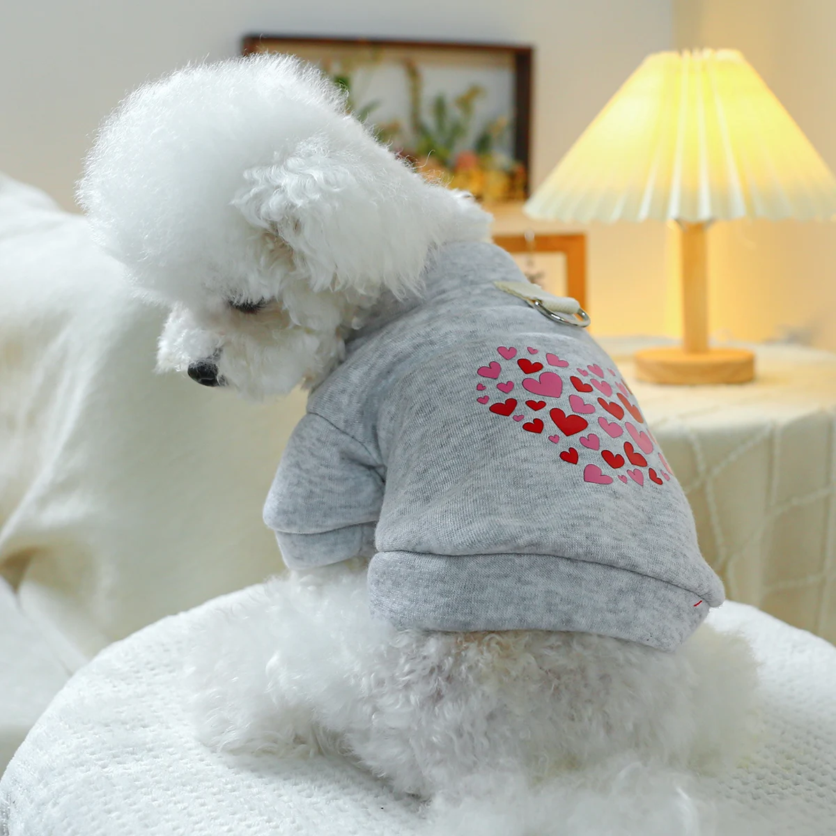 1PC Pet Clothing Dog Cat Valentine's Day Red Love Coat with Drawstring Buckle, Suitable for Small and Medium sized Dogs 1PC Pet Clothing Dog Cat Valentine's Day Red Love Coat with Drawstring Buckle, Suitable for Small and Medium sized Dogs