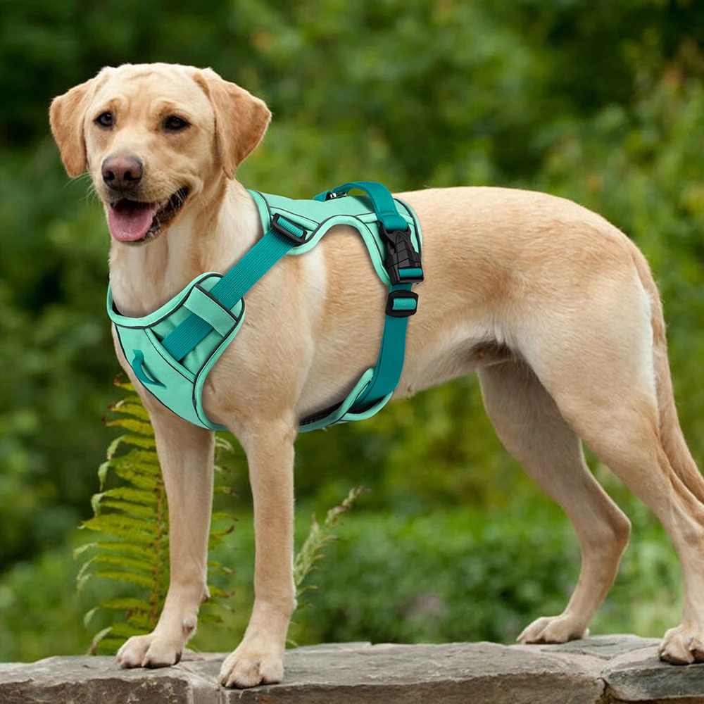 Mesh Breathable Dog Harness Nylon Reflective Dog Harnesses Vest Durable Pet Training Vest Adjustable for Small Medium Large Dogs Mesh Breathable Dog Harness Nylon Reflective Dog Harnesses Vest Durable Pet Training Vest Adjustable for Small Medium Large Dogs