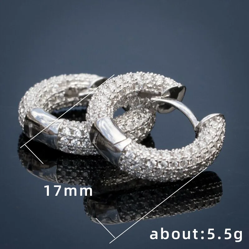 Punk Men Women Circle Hoop Earrings Shiny White Zircon Simple Daily Wear Small Earrings Wedding Party Fashion Jewelry Gifts Punk Men Women Circle Hoop Earrings Shiny White Zircon Simple Daily Wear Small Earrings Wedding Party Fashion Jewelry Gifts