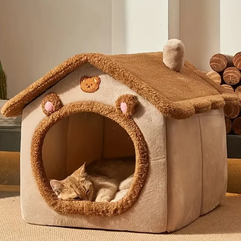 Bed for Cats Pet Products Cushions Kitten Goods Accessories Dog All Houses Supplies Things Accessory Habitats Basket House Beds