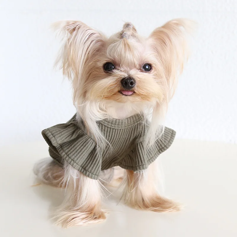 Autumn and Winter New Style Lapel Fly Sleeve Base Shirt High Neck Cat Clothing Pet Base Shirt Clothes Dog Hoodie Puppy Clothes Autumn and Winter New Style Lapel Fly Sleeve Base Shirt High Neck Cat Clothing Pet Base Shirt Clothes Dog Hoodie Puppy Clothes
