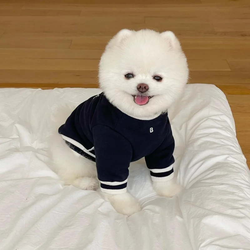 Pet Embroidery and Velvet Autumn and Winter Round Neck Hoodie for Dogs Pomeranians Teddy Bears Small Dogs Cats Pet Clothes Pet Embroidery and Velvet Autumn and Winter Round Neck Hoodie for Dogs Pomeranians Teddy Bears Small Dogs Cats Pet Clothes