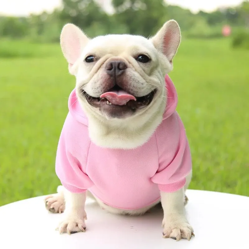 Fashion Dog Clothing Autumn And Winter Small Pet Clothes Thickening Warm Solid Color Two-Feet Hooded Wweater Casual Pet Products Fashion Dog Clothing Autumn And Winter Small Pet Clothes Thickening Warm Solid Color Two-Feet Hooded Wweater Casual Pet Products