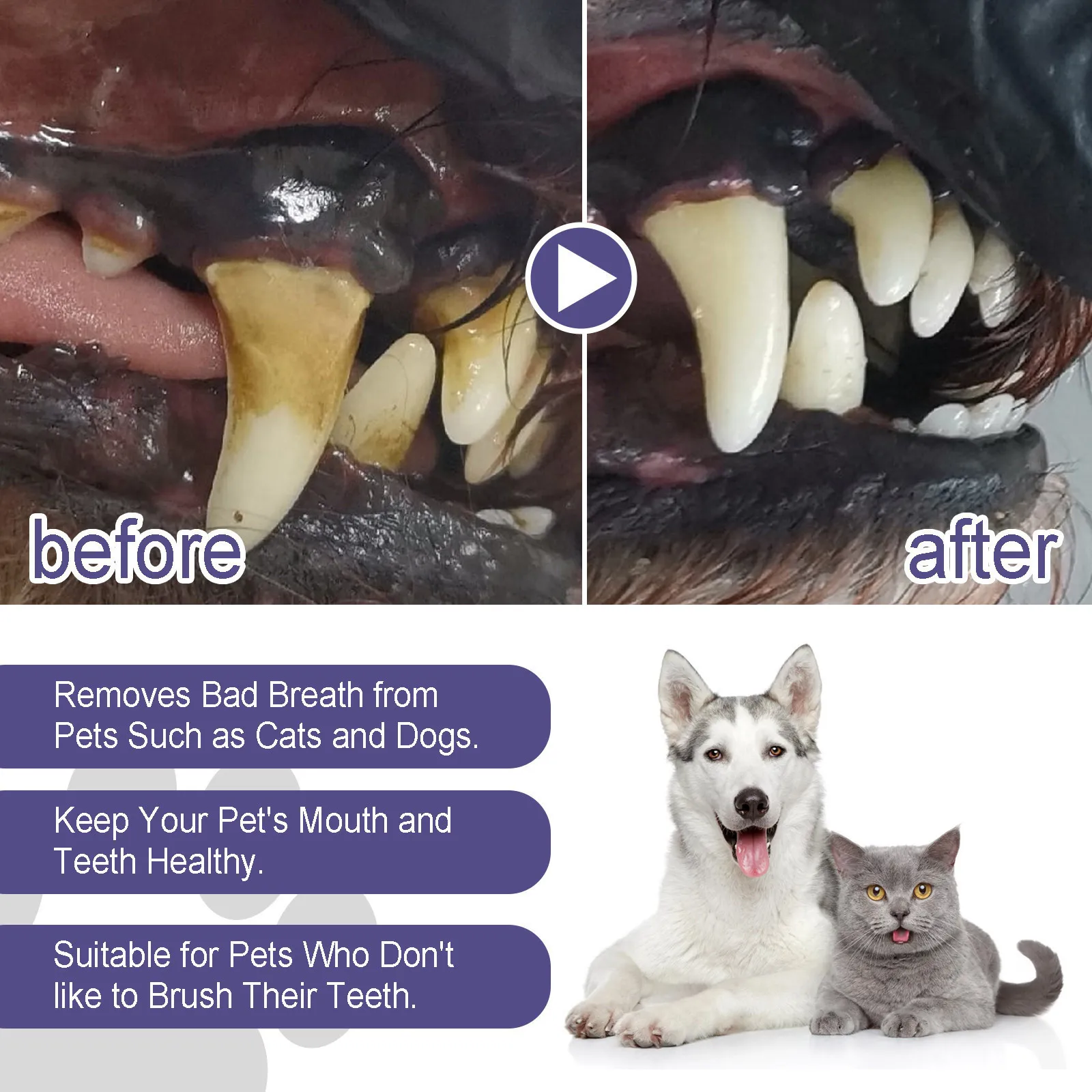 3ml Pet Oral Gel Cleaning Dog Cat Teeth, Bad Breath, For Tartar, No Need To Brush Teeth, Pet Breath Freshener Gel Care Cleaner 3ml Pet Oral Gel Cleaning Dog Cat Teeth, Bad Breath, For Tartar, No Need To Brush Teeth, Pet Breath Freshener Gel Care Cleaner