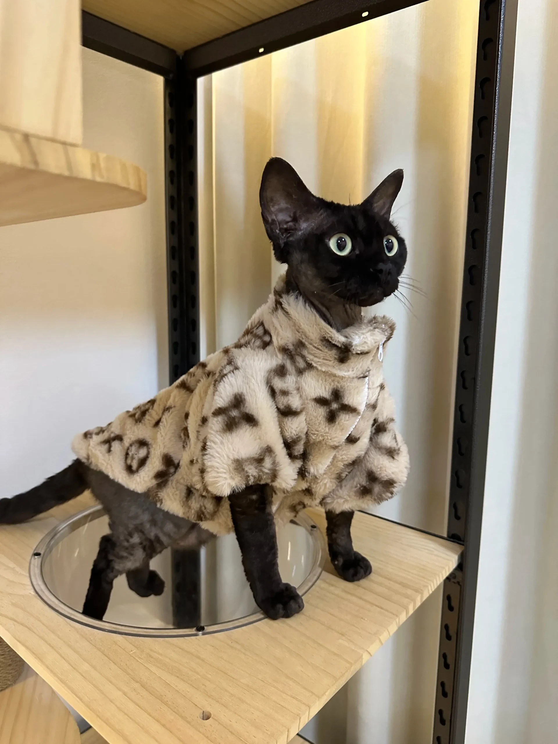 Dog Clothes Pet for Small Breeds Dogs Clothing Hoodie Winter Designer Suit Products Accessory Accessories Costume Medium Dog Clothes Pet for Small Breeds Dogs Clothing Hoodie Winter Designer Suit Products Accessory Accessories Costume Medium