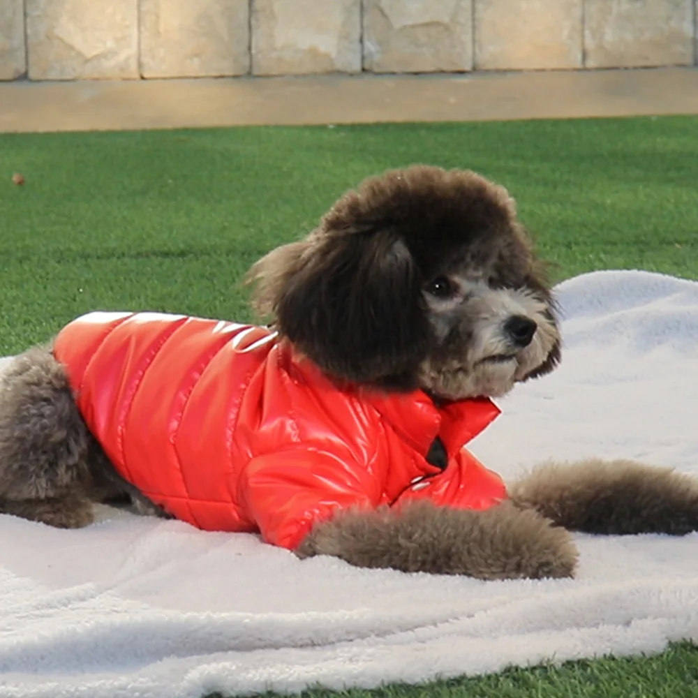 Winter Small Dog Clothes Coat Thick Cotton Waterproof Puppy Pet Jacket Costume Outfits Clothes for Small Dogs Cat Pug Shih Tzu Winter Small Dog Clothes Coat Thick Cotton Waterproof Puppy Pet Jacket Costume Outfits Clothes for Small Dogs Cat Pug Shih Tzu