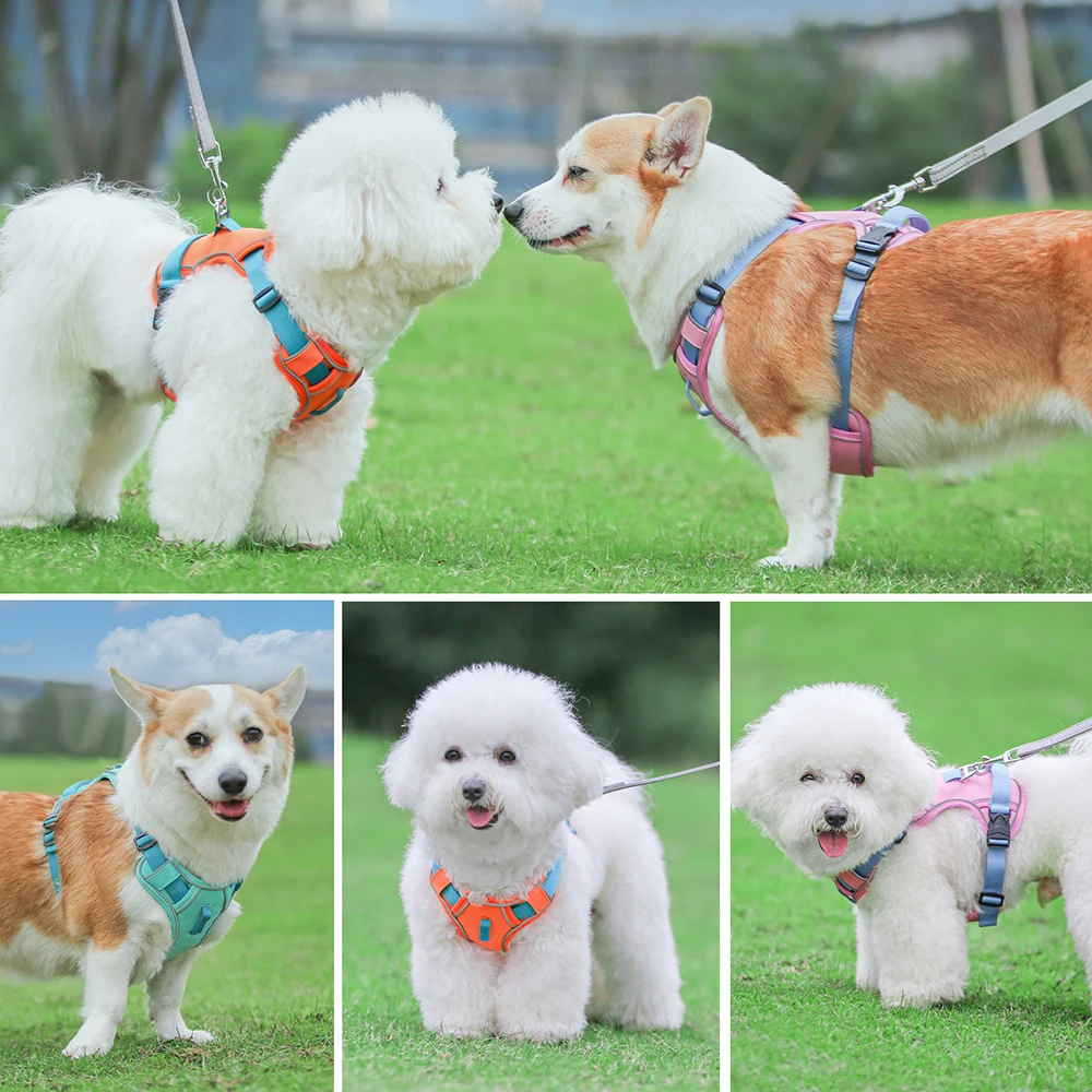 Mesh Breathable Dog Harness Nylon Reflective Dog Harnesses Vest Durable Pet Training Vest Adjustable for Small Medium Large Dogs Mesh Breathable Dog Harness Nylon Reflective Dog Harnesses Vest Durable Pet Training Vest Adjustable for Small Medium Large Dogs