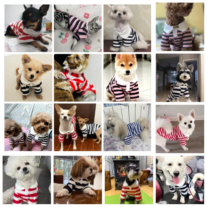 Summer Polo Shirt for Dogs Puppy Clothes Bichon Frise Chihuahua Stripe Dog Sweatshirt Dog Cooling Vest for Small and Medium Dogs Summer Polo Shirt for Dogs Puppy Clothes Bichon Frise Chihuahua Stripe Dog Sweatshirt Dog Cooling Vest for Small and Medium Dogs