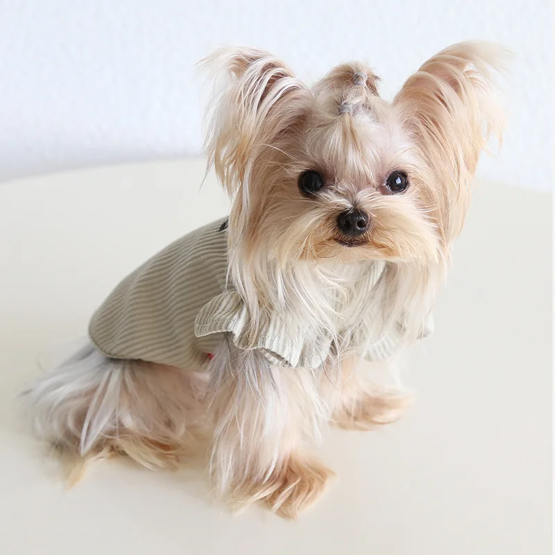 Autumn and Winter New Style Lapel Fly Sleeve Base Shirt High Neck Cat Clothing Pet Base Shirt Clothes Dog Hoodie Puppy Clothes Autumn and Winter New Style Lapel Fly Sleeve Base Shirt High Neck Cat Clothing Pet Base Shirt Clothes Dog Hoodie Puppy Clothes