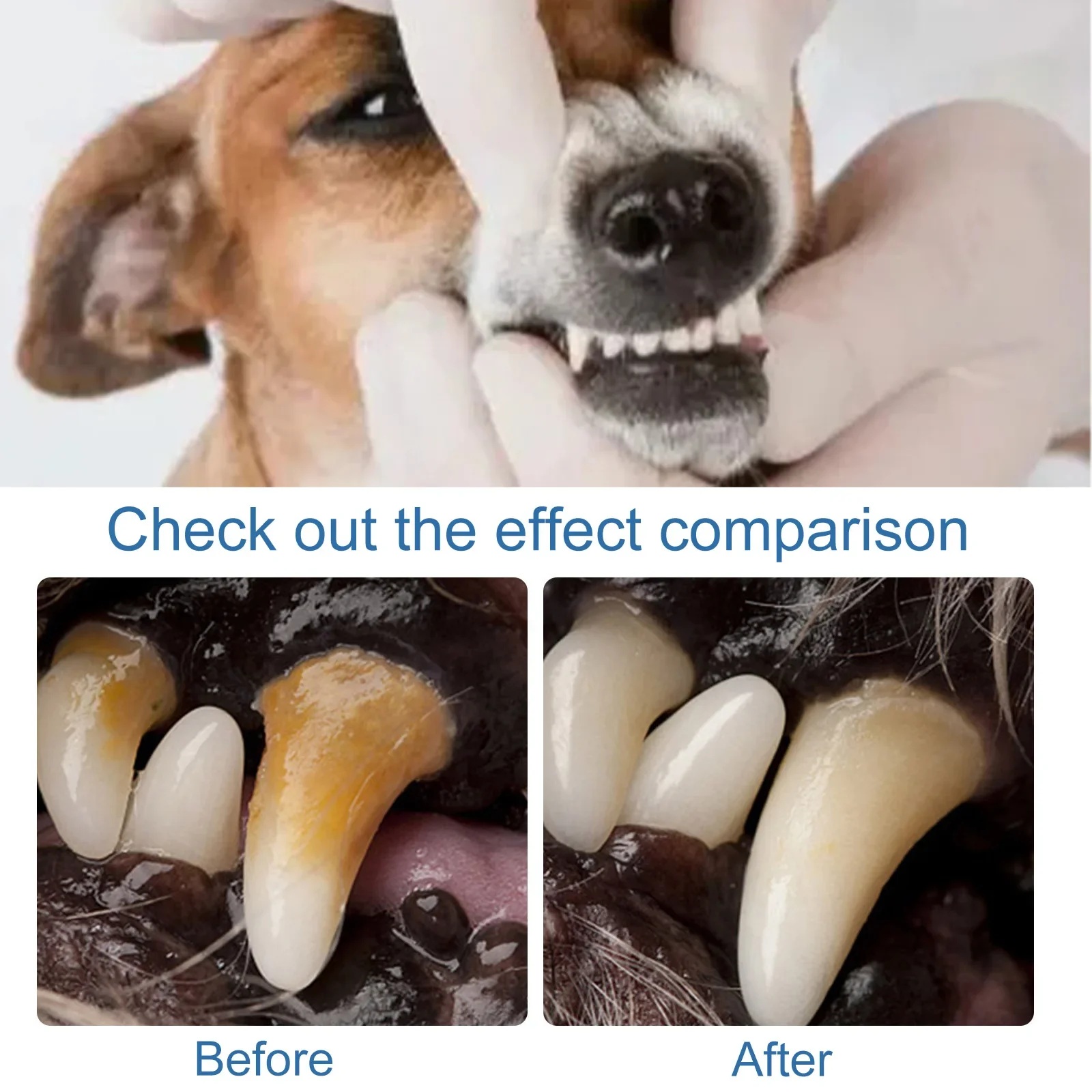 60ml Pet Tartar Remover Natural Plaques Off Tartar Remover For Dogs Cats Freshen Breath Foam For Dogs Cats Support Healthy Gums 60ml Pet Tartar Remover Natural Plaques Off Tartar Remover For Dogs Cats Freshen Breath Foam For Dogs Cats Support Healthy Gums