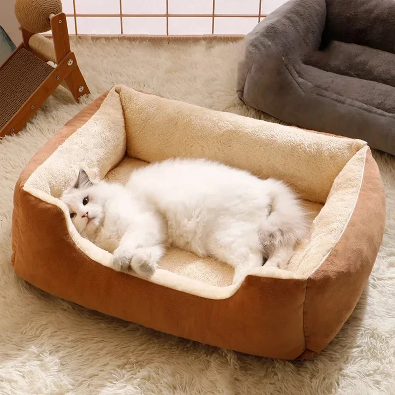 Bed for Cats Pet Products Cushions Kitten Goods Accessories Dog All Houses Supplies Things Accessory Habitats Basket House Beds Bed for Cats Pet Products Cushions Kitten Goods Accessories Dog All Houses Supplies Things Accessory Habitats Basket House Beds
