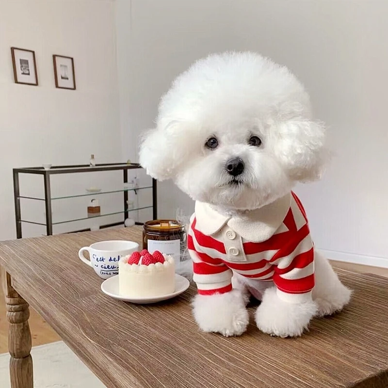 Summer Polo Shirt for Dogs Puppy Clothes Bichon Frise Chihuahua Stripe Dog Sweatshirt Dog Cooling Vest for Small and Medium Dogs Summer Polo Shirt for Dogs Puppy Clothes Bichon Frise Chihuahua Stripe Dog Sweatshirt Dog Cooling Vest for Small and Medium Dogs