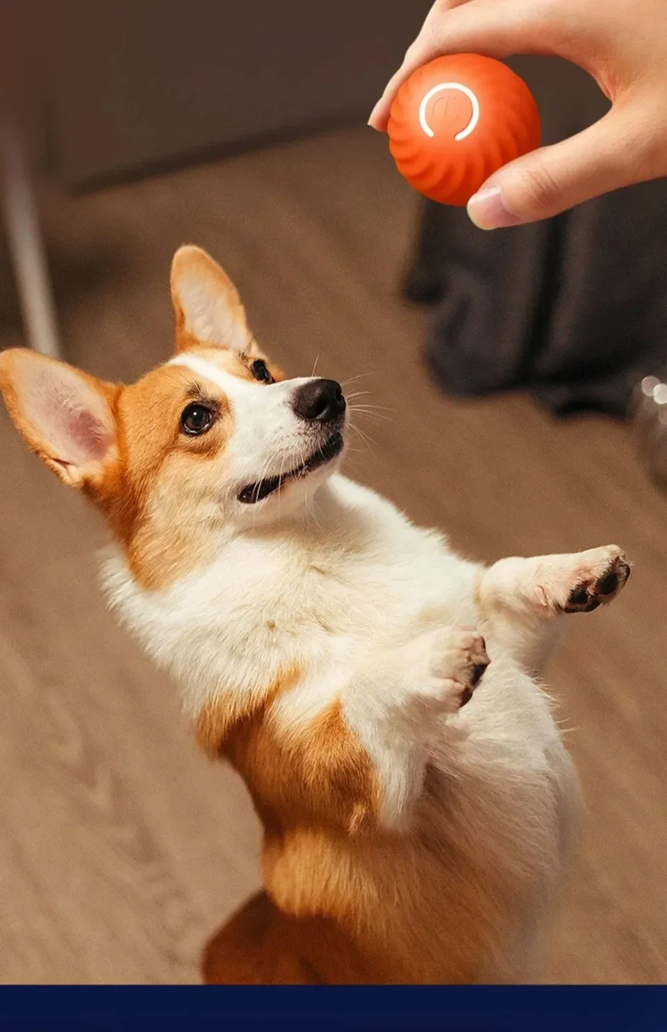 Pet Toy Ball Electronic Interactive Dog Toy Ball Electronic Interactive Smart Moving Gravity Jumping Pet Products Rechargeable Pet Toy Ball Electronic Interactive Dog Toy Ball Electronic Interactive Smart Moving Gravity Jumping Pet Products Rechargeable