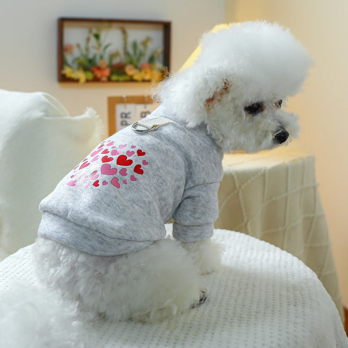 1PC Pet Clothing Dog Cat Valentine's Day Red Love Coat with Drawstring Buckle, Suitable for Small and Medium sized Dogs 1PC Pet Clothing Dog Cat Valentine's Day Red Love Coat with Drawstring Buckle, Suitable for Small and Medium sized Dogs