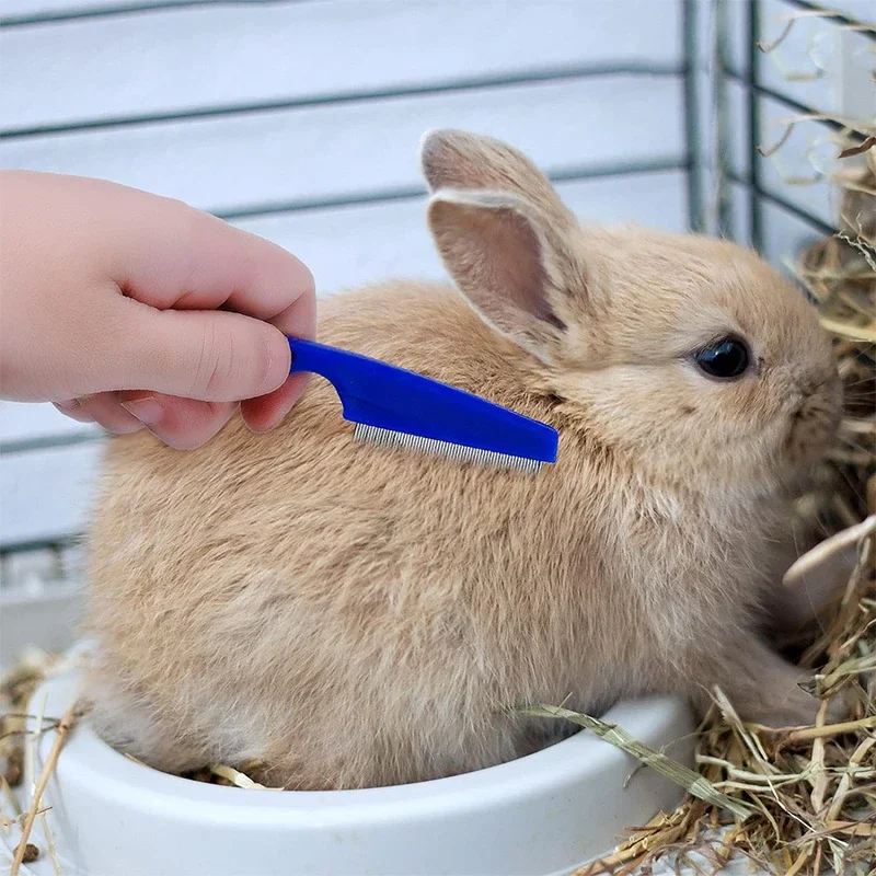 Rabbit Grooming Kit Tear Stain Remover Cleaning Combs Pet Nail Clipper Double-Sided Shampoo Bath Brush for Guinea Pig Bunny Rabbit Grooming Kit Tear Stain Remover Cleaning Combs Pet Nail Clipper Double-Sided Shampoo Bath Brush for Guinea Pig Bunny