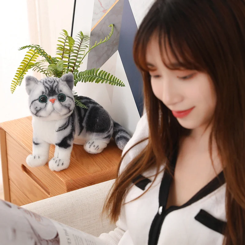 1pc 4 Colors INS Like Real Prone Cat Plush Doll Stuffed Pure Colors Grey White Yellow Kitten Toy Pets Animal Kids Gift 1pc 4 Colors INS Like Real Prone Cat Plush Doll Stuffed Pure Colors Grey White Yellow Kitten Toy Pets Animal Kids Gift