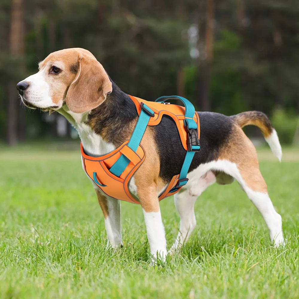 Mesh Breathable Dog Harness Nylon Reflective Dog Harnesses Vest Durable Pet Training Vest Adjustable for Small Medium Large Dogs Mesh Breathable Dog Harness Nylon Reflective Dog Harnesses Vest Durable Pet Training Vest Adjustable for Small Medium Large Dogs