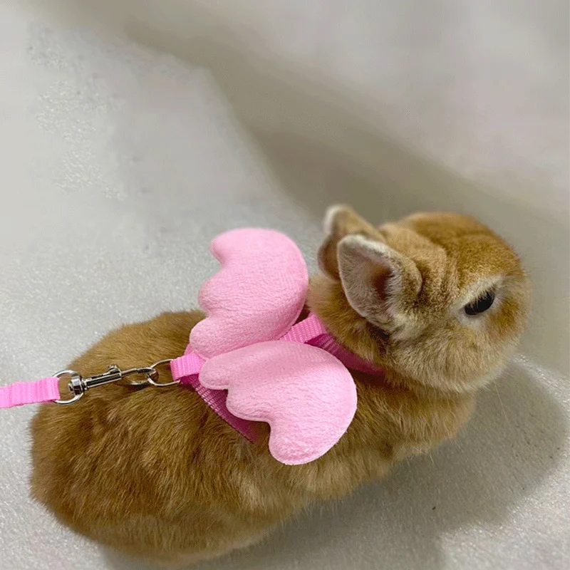 Cute Angel Wing Pet Rabbit Harness and Leash for Cats Rabbits Personalized Rabbit Harnesses Bunny Accessories Hamster Clothes Cute Angel Wing Pet Rabbit Harness and Leash for Cats Rabbits Personalized Rabbit Harnesses Bunny Accessories Hamster Clothes
