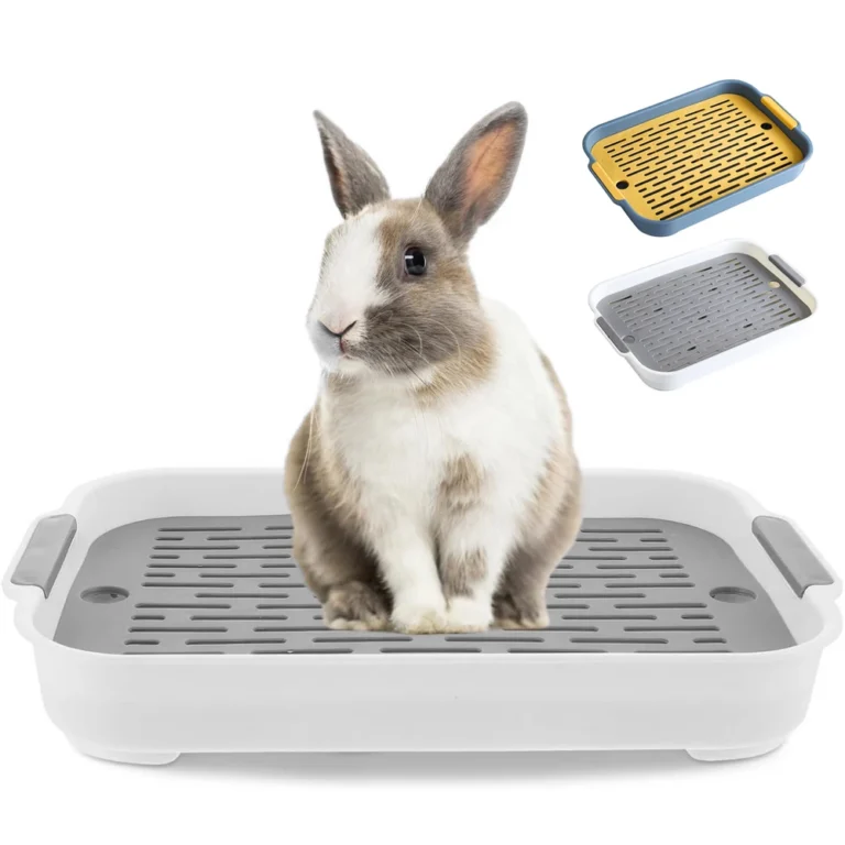 Rabbit Litter Box Small Pet Toilet Tray Bunnies Corner Toilet Box For Ferret Hamster Dragon Cat Guinea Pig Dutch Pig Supplies