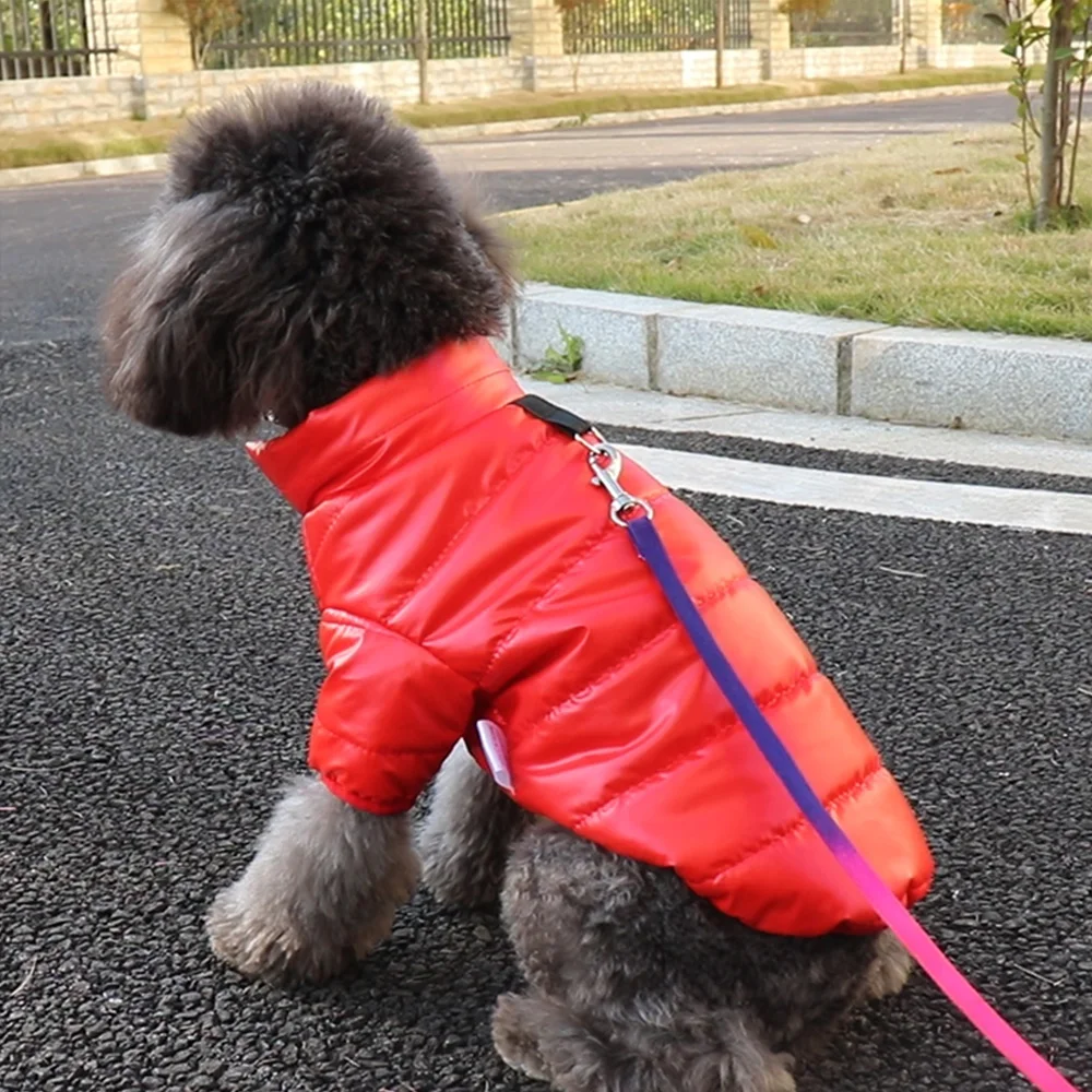 Winter Small Dog Clothes Coat Thick Cotton Waterproof Puppy Pet Jacket Costume Outfits Clothes for Small Dogs Cat Pug Shih Tzu Winter Small Dog Clothes Coat Thick Cotton Waterproof Puppy Pet Jacket Costume Outfits Clothes for Small Dogs Cat Pug Shih Tzu