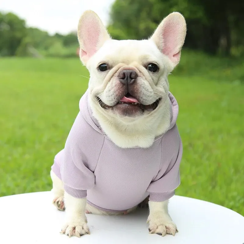 Fashion Dog Clothing Autumn And Winter Small Pet Clothes Thickening Warm Solid Color Two-Feet Hooded Wweater Casual Pet Products Fashion Dog Clothing Autumn And Winter Small Pet Clothes Thickening Warm Solid Color Two-Feet Hooded Wweater Casual Pet Products