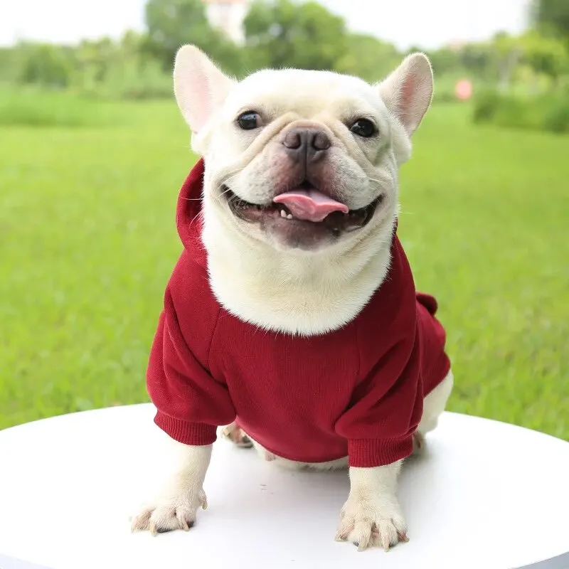 Fashion Dog Clothing Autumn And Winter Small Pet Clothes Thickening Warm Solid Color Two-Feet Hooded Wweater Casual Pet Products Fashion Dog Clothing Autumn And Winter Small Pet Clothes Thickening Warm Solid Color Two-Feet Hooded Wweater Casual Pet Products
