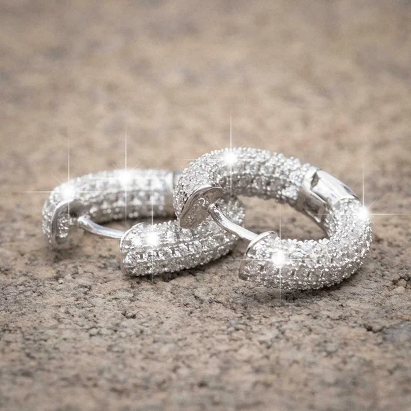 Punk Men Women Circle Hoop Earrings Shiny White Zircon Simple Daily Wear Small Earrings Wedding Party Fashion Jewelry Gifts Punk Men Women Circle Hoop Earrings Shiny White Zircon Simple Daily Wear Small Earrings Wedding Party Fashion Jewelry Gifts