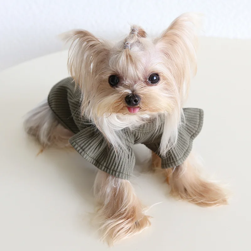 Autumn and Winter New Style Lapel Fly Sleeve Base Shirt High Neck Cat Clothing Pet Base Shirt Clothes Dog Hoodie Puppy Clothes Autumn and Winter New Style Lapel Fly Sleeve Base Shirt High Neck Cat Clothing Pet Base Shirt Clothes Dog Hoodie Puppy Clothes