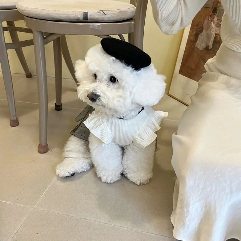 Luxury Dog Dress for Small Dogs Summer Puppy Clothes Bow Lace Dog Skirt Black White Dog T Shirt Girls Dog Costume Chihuahua Vest Luxury Dog Dress for Small Dogs Summer Puppy Clothes Bow Lace Dog Skirt Black White Dog T Shirt Girls Dog Costume Chihuahua Vest