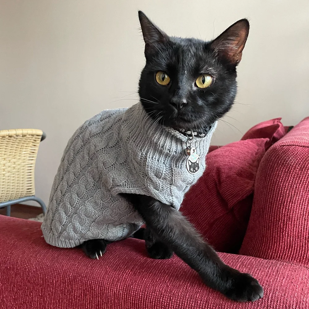 Warm Knitted Sphynx Cat Sweater Winter Pet Clothes for Cats mascotas Clothing Katten Kedi Kitten Puppy Pullovers ropa para gatos Warm Knitted Sphynx Cat Sweater Winter Pet Clothes for Cats mascotas Clothing Katten Kedi Kitten Puppy Pullovers ropa para gatos