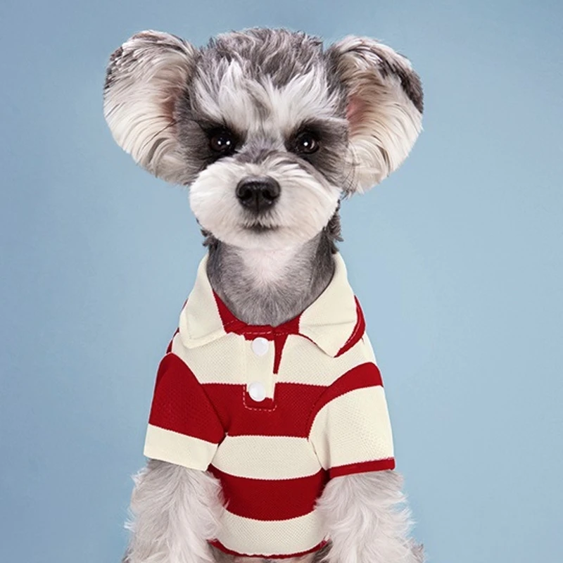 Pet Dog Polo Shirt Summer Dog Clothes Casual Clothing for Small Large Dogs Cats T-Shirt Chihuahua Pug Costumes Yorkshire Shirts Pet Dog Polo Shirt Summer Dog Clothes Casual Clothing for Small Large Dogs Cats T-Shirt Chihuahua Pug Costumes Yorkshire Shirts