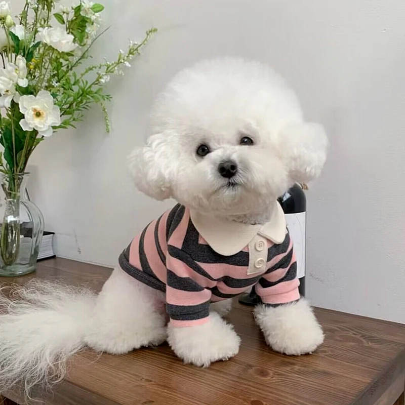 Fashion Pet Dog Striped Shirt Summer Puppy Clothes Cute Cat Vest Breathable Dog Thin Shirt Pet Kitten Clothing Chihuahua Clothes Fashion Pet Dog Striped Shirt Summer Puppy Clothes Cute Cat Vest Breathable Dog Thin Shirt Pet Kitten Clothing Chihuahua Clothes