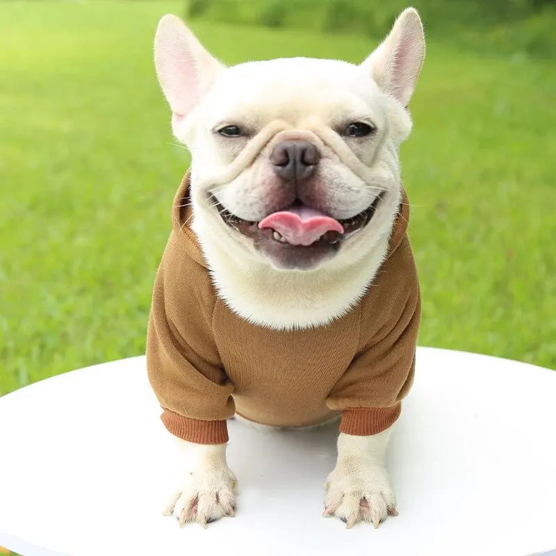 Fashion Dog Clothing Autumn And Winter Small Pet Clothes Thickening Warm Solid Color Two-Feet Hooded Wweater Casual Pet Products Fashion Dog Clothing Autumn And Winter Small Pet Clothes Thickening Warm Solid Color Two-Feet Hooded Wweater Casual Pet Products