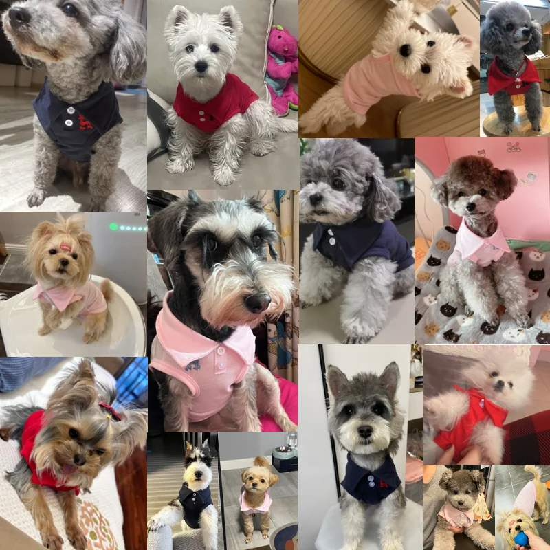 Summer Polo Shirt for Dogs Puppy Clothes Bichon Frise Chihuahua Stripe Dog Sweatshirt Dog Cooling Vest for Small and Medium Dogs Summer Polo Shirt for Dogs Puppy Clothes Bichon Frise Chihuahua Stripe Dog Sweatshirt Dog Cooling Vest for Small and Medium Dogs