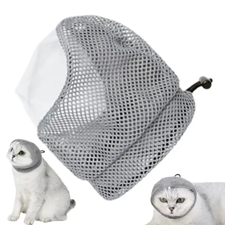 Cats Bed Dog Mat Beds Goods Pet Puppy Accessories All Products Kitten Cushions Things Accessory Houses Habitats Pet Supplies